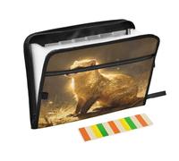 Epic Ferret Gold Expanding Zip File Folder 13 Pockets Accordion Document Organizer for Work Home