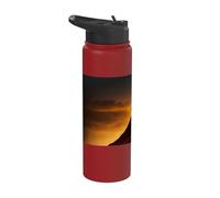 Epic Knight at Sunset on the Field Stainless Steel Insulated Water Bottle