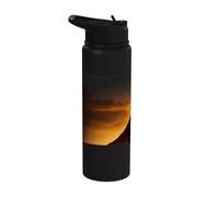 Epic Knight at Sunset on the Field Stainless Steel Insulated Water Bottle