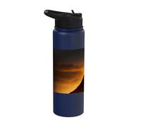 Epic Knight at Sunset on the Field Stainless Steel Insulated Water Bottle