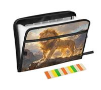 Epic Lion Gold Expanding Zip File Folder 13 Pockets Accordion Document Organizer for Work Home