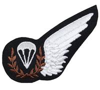 Epic Militaria British WW2 Royal Air Force RAF PARACHUTE JUMP INSTRUCTOR WING - Uniform Brevet Patch