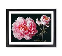 Epic Peonies BLK Framed Print | A3 Black Framed Wall Art | Ready to Hang | Modern Nature Picture | Living Room Bedroom Lounge Office