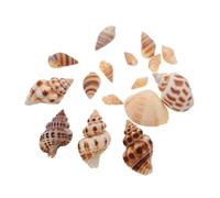 EPIGEIST 2 Boxes Sea Snail Shell Fish Tank Decoration Smooth Edges Ornament for Aquarium Hiding Spot and Ocean Style Scenery