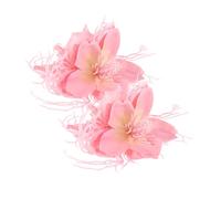 EPIGEIST 2 Pcs Hawaiian Hair Clips Light Pink Tropical Flower Side Hairpin for Women Durable Dragon Beard Material Secure Lightweight Hold Handcrafted Beach Vacation Accessories