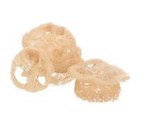 EPIGEIST 24PCS Natural Loofah Hamster Chew for Small Animals Dental Health Support Stress Relief Cage Enrichment for Dwarf Hamsters Gerbils Rabbits and Guinea Pigs