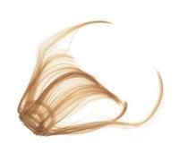 EPIGEIST 2pcs Lightweight Fake Bang Hair Extensions for Women Soft Smooth Touch Fringe Hairpiece for Daily Wear Adds Volume and Chic Style Practical and Skin-friendly Cosplay Accessory