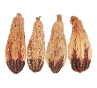 EPIGEIST 4pcs Natural Parrot Foraging with Starfruit and Walnut, Small Bird Chewing for Cockatiel and Budgie, Bird Cage Shredding for Mental Stimulation and Beak Health