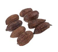 EPIGEIST 8pcs Parrot Chewing Toys Natural Dried Nuts Foraging Bird Shredding Accessories Large Peanut Set for Cockatiels Parakeets Cage Play