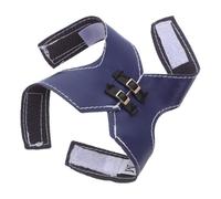 EPIGEIST Bird Harness Vest Halloween Pet Birds Costume Suit Cockatiel Clothes Pet Vest Suit Poultry Hen Saddle Apron Blue