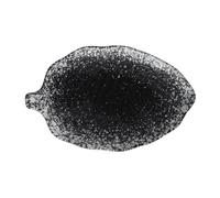 EPIGEIST Creative Banana Leaf Ceramic Serving Plate Japanese-Style Pastry Tray for Snacks Fruits Appetizers High-Temperature Fired Household Dish