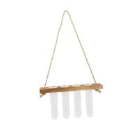 EPIGEIST Creative Hydroponic Glass Wall Planter with Stand Indoor Plants Terrarium Vase for Hanging Greenery and Plant Propagation Small Tube Display for Home