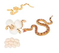 EPIGEIST Growth Cycle Model Educational Realistic Snake Evolution Display for Engaging Cognitive Learning and Nature Exploration