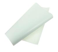 EPIGEIST Reptile Carpet Mat Large Eva Terrarium Bedding Substrate Carpet 45x150cm Light Green for Tortoises Geckos Lizards Snakes and Bearded Dragons