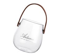 EPIGEIST Small Nordic Style Glass Flower Vase with Brown Leather Handle, Decorative Hydroponic Storage Jar for Home and Desktop,