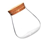 EPIGEIST Storage Jar Glass Bottle with Cork Stopper Glass Container for DIY Micro Landscape and Kitchen Decoration