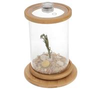 EPIGEIST Transparent Rotating Desktop Aquarium Tank with Phyllostachys Pubescens Frame Tempered Glass Micro Landscape Bottle for Office and Home Decoration Unique Fish Bowl
