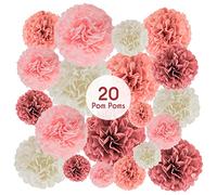 EpiqueOne 20 Piece Tissue Paper Pom Poms | Blush Pink, Dusty Rose, Mauve & Cream | Colorful Paper Flower Wall Decorations for Bridal Showers, Baby Showers, Weddings, Graduations, Tea Parties & More