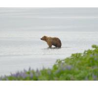 Episode 10 - No Going Back