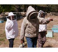 Episode 102: Flavors of Longevity - Ikaria