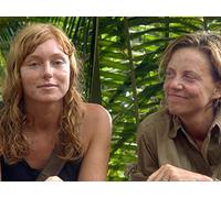 Episode 13 - Surviving the Island