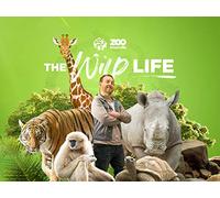 Episode 5: The Amphibian and Reptile Conservation (ARC) Campus