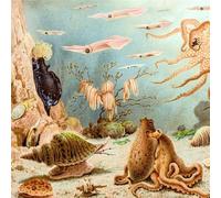 Episodes In Oceanography, Vol. 1