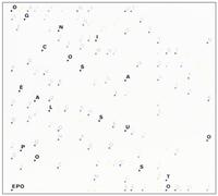 Epo - Ogni Cosa E' Al Suo Posto