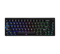 EPOMAKER P65 QMK/VIA Wireless Aluminum Gaming Keyboard, Bluetooth/2.4Ghz/USB A-C, Hot Swappable, Gasket-Mount, NKRO, for Mac/PC/PS/Xbox (Black, Wisteria Linear Switch)