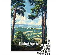 Epping Forest Landscape 1000 Piece Jigsaw Puzzle, Mountain Lake Town View, Decorative Artwork, Matte Printed Jigsaw, Family Night Game for Adults, 38x26cm/1000pcs