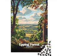 Epping Forest Landscape 1000 Piece Jigsaw Puzzle, Mountain Lake Town View, Matte Printed Jigsaw for Families, Family Night Game, Decorative Artwork, 38x26cm/1000pcs
