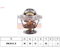 EPS 1.880.319S Thermostat