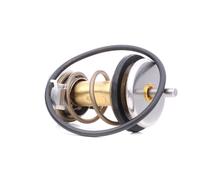 EPS 1.880.990 Thermostat