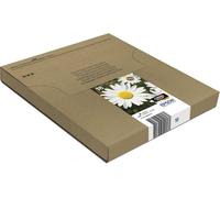 Epson 18 Daisy Genuine Multipack, Eco-Friendly Packaging, 4-colours Ink Cartrid