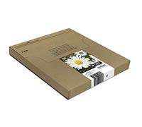 Epson 18 Daisy Genuine Multipack, Eco-Friendly Packaging, 4-colours Ink Cartridges, Claria Home Ink