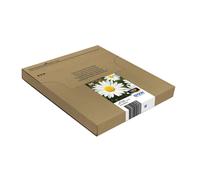 Epson Daisy Multipack 4-colours 18 Claria Home Ink