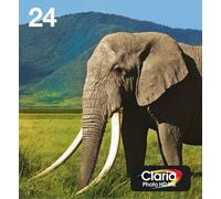 Epson 24 Elephant Claria Photo HD Multipack 6-colours EasyMail Ink
