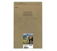 Epson 24XL Elephant High Yield Genuine Multipack, Eco-Friendly Packaging, 6-colours Claria Photo HD Ink Cartridges, XL High Capacity