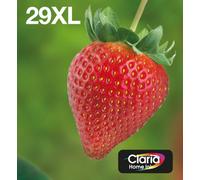 Epson 29XL Black CMY High Yield Ink Cartridge Easymail - C13T29964511