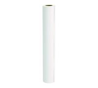 Epson Presentation Matte Paper Roll 24" (61 cm) x 25 m 172 gsm