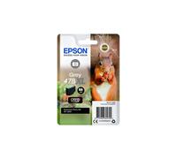 Epson C13T04F64010 (478XL) Ink cartridge gray, 11ml