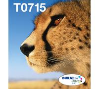Epson T0715 Cheetah Genuine Multipack, Eco-Friendly Packaging, 4-colours Ink Cartridges, DURABrite Ultra Ink,Black/Cyan/Magenta/Yellow