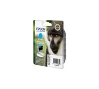 Epson C13T08924021 (T0892) Ink cartridge cyan, 170 pages, 4ml