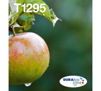 Epson Apple Multipack 4-colours T1295 DURABrite Ultra Ink