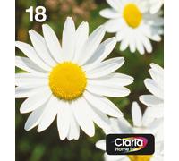 Epson C13T18064511/18 Ink cartridge multi pack Bk.C.M.Y Easy Mail 175p