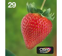 Epson 29 Strawberry Genuine Multipack, Eco-Friendly Packaging, 4-colours Ink Cartridges, Claria Home Ink