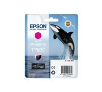 Epson C13T76034N10 ink cartridge 1 pc(s) Original Vivid magenta