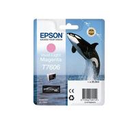 Epson C13T76064N10. Supply type: Single pack Colour ink volume: 25.9 ml Printing colours: Light magenta Quantity per pack: 1 pc(s)