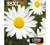 Epson Daisy Multipack 4-colours 18XL EasyMail