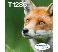 Epson Fox Multipack 4-colours T128 EasyMail